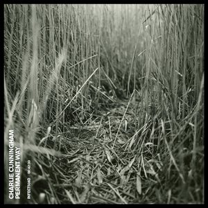 泰国军人体检视频播放大全
