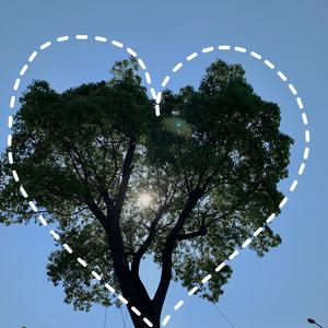 男人添女人囗交做爰高潮
