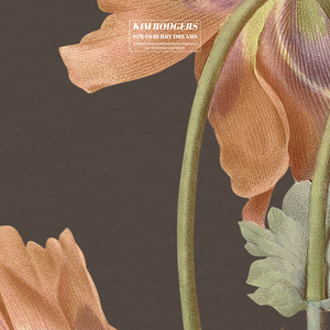 国产自产对白一区
