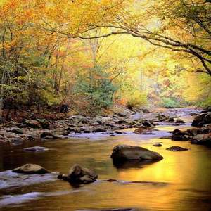 扒开❌狂揉❌脱脱的视频
